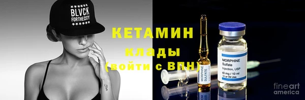 стаф Алексин