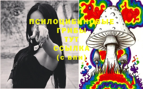стаф Алексин