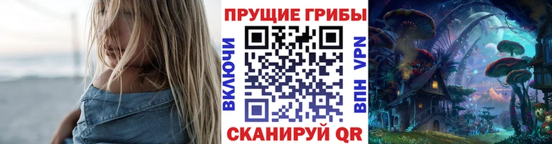 omg сайт Калининград Галлюциногенные грибы ЛСД